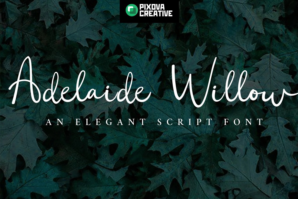 Font Adelaide Willow