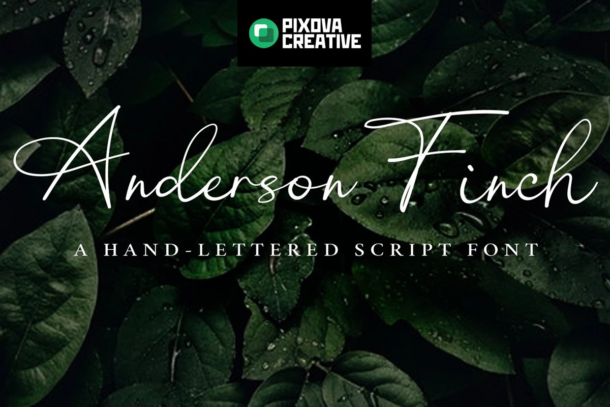 Font Anderson Finch